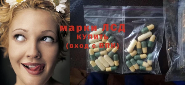 сатива Горно-Алтайск