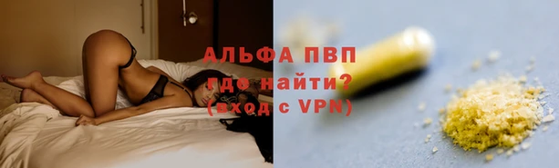 сатива Горно-Алтайск
