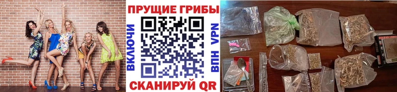 Галлюциногенные грибы GOLDEN TEACHER Егорьевск